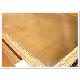 销售：金桥（H59、H62、H63、H65）黄铜板